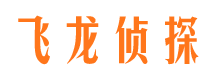 大武口市私家侦探